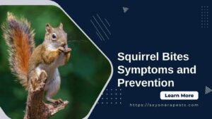 Squirrel Bites - Symptoms and Prevention