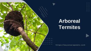 Arboreal Termites