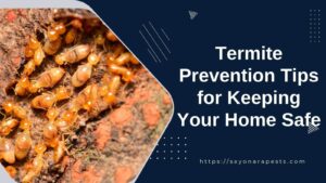Termite Prevention Tips for Keeping Your Home Safe