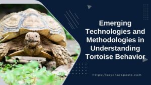 Emerging Technologies and Methodologies in Understanding Tortoise Behavior