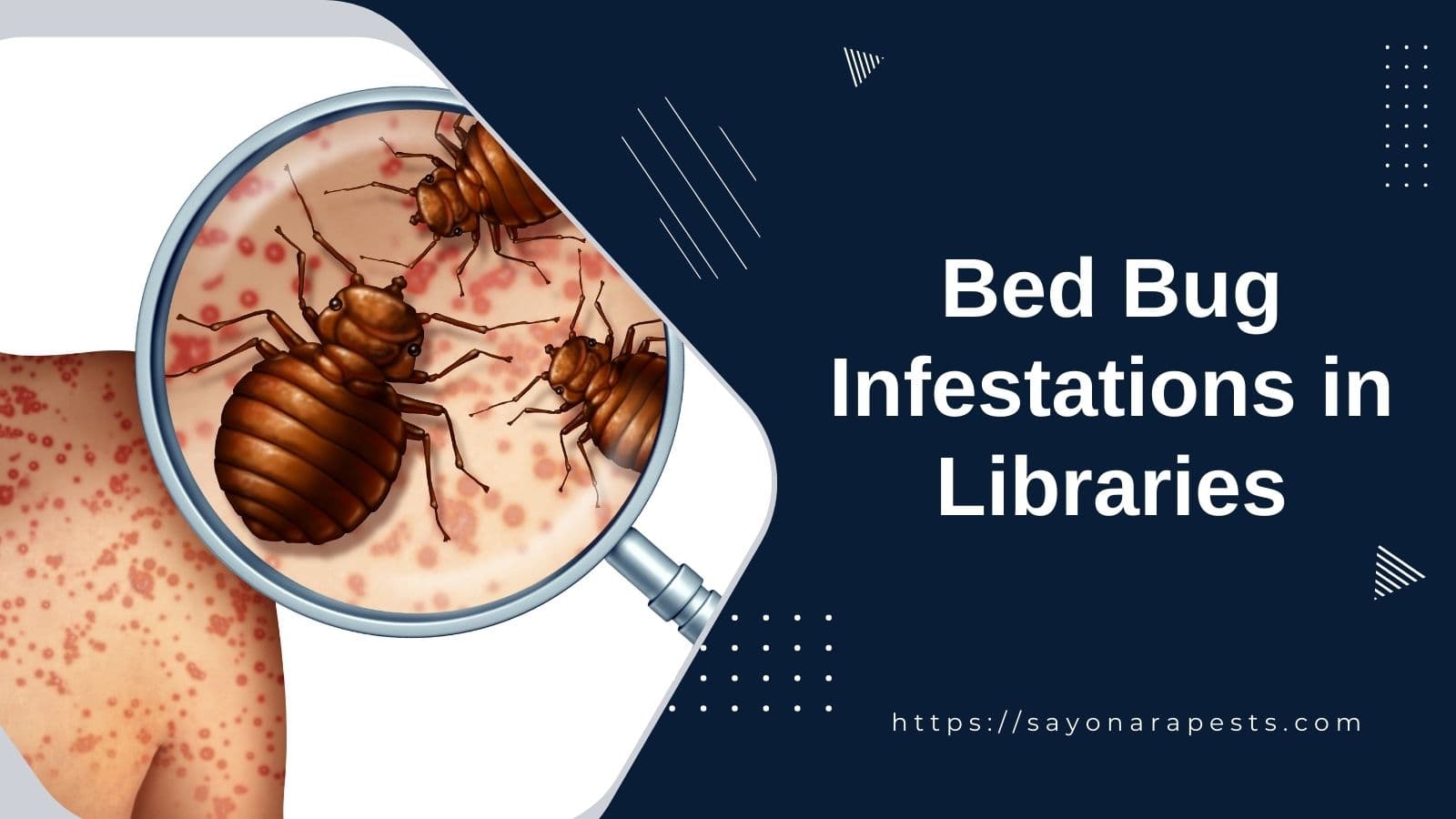 Effective Measures Against Bed Bugs in Libraries | Sayonara Pests