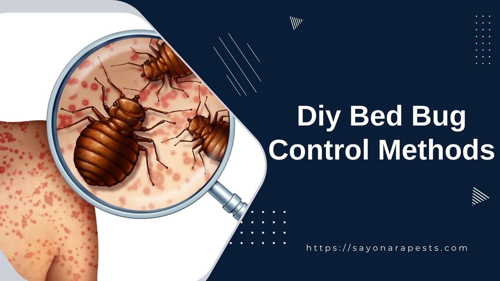 Image showcasing Preparing for Treatment Against Bed Bugs | US EPA